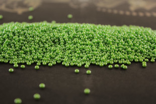 Бисер Чехия круглый 10/0 50г 58310